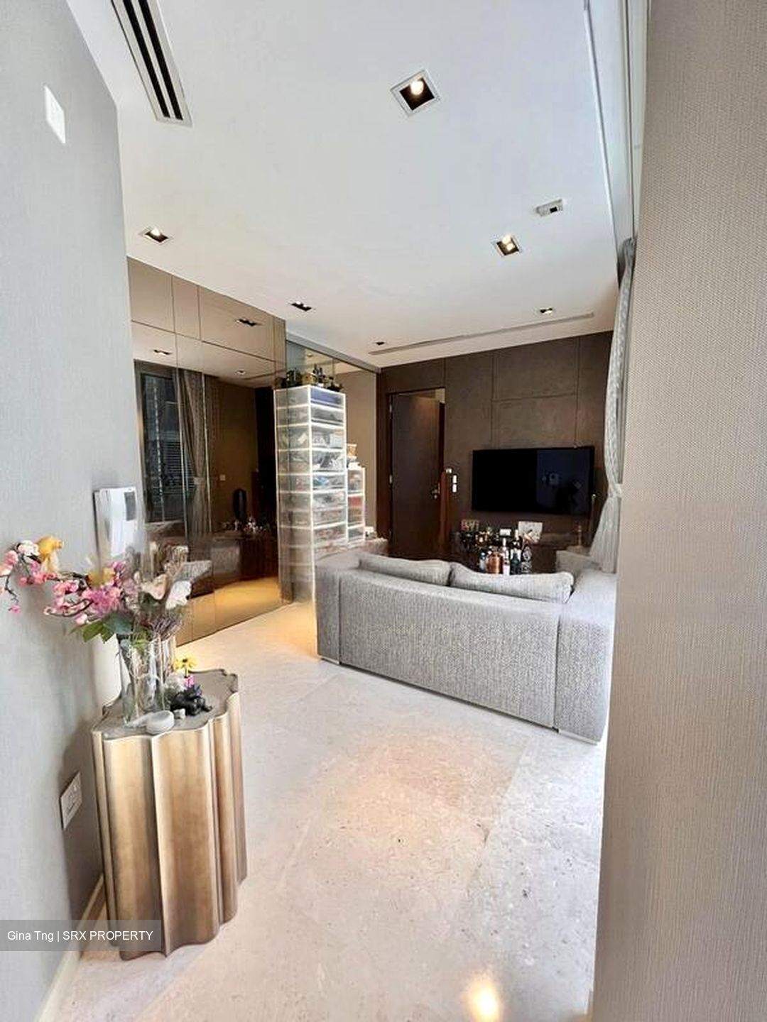 The Boutiq (D9), Apartment #459264691